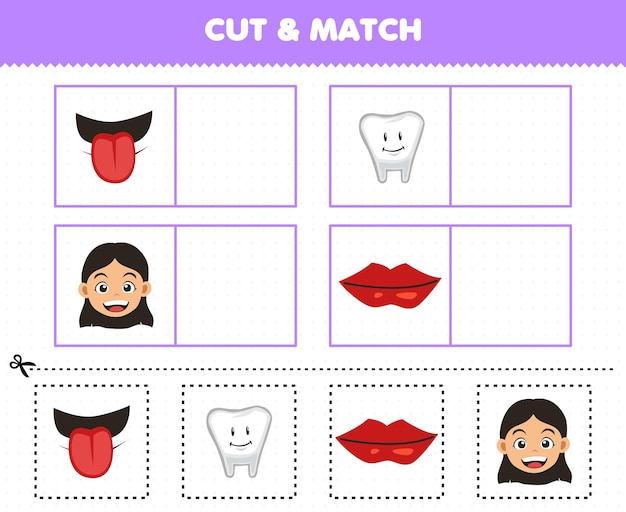 Education game for children cut and match the same picture of cute cartoon human anatomy and organ tongue tooth girl head lip