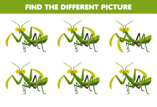 Education game for children find the different picture of cute cartoon mantis printable bug worksheet