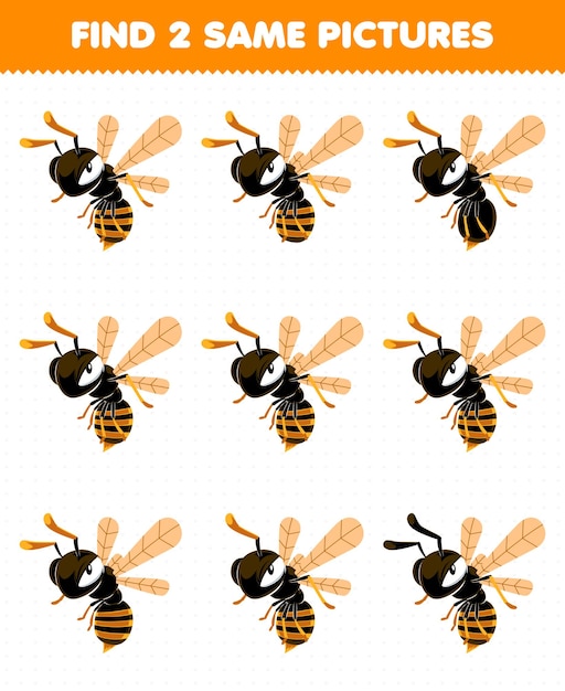 Education game for children find two same pictures of cute cartoon bee wasp printable bug worksheet