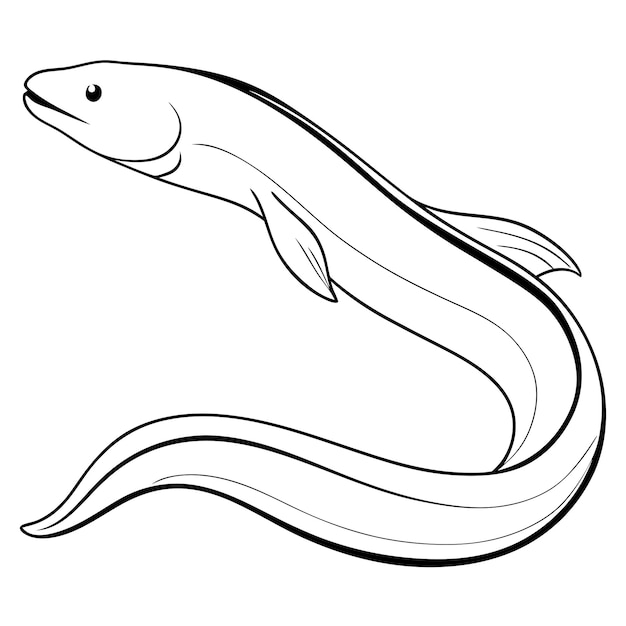 Eel Fish line art