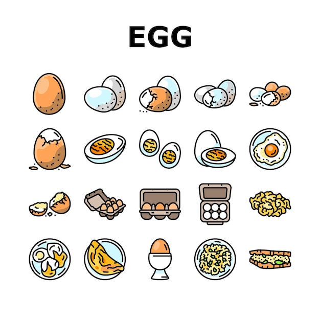 egg chicken hen food farm icons set vector easter organic fresh brown animal bird breakfast poultry healthy nature protein egg chicken hen food farm color line illustrations