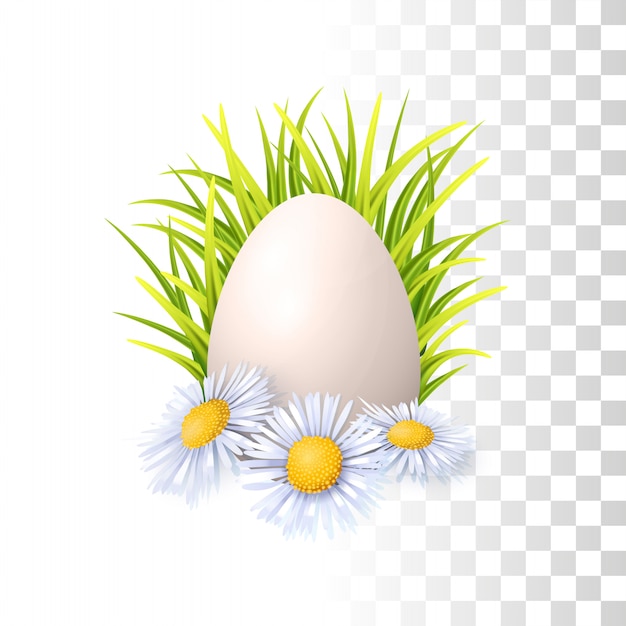 Egg, Grass And Flowers