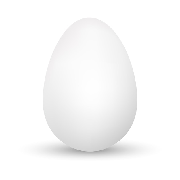 Egg isolated  on white background.Egg template.Realistic Egg