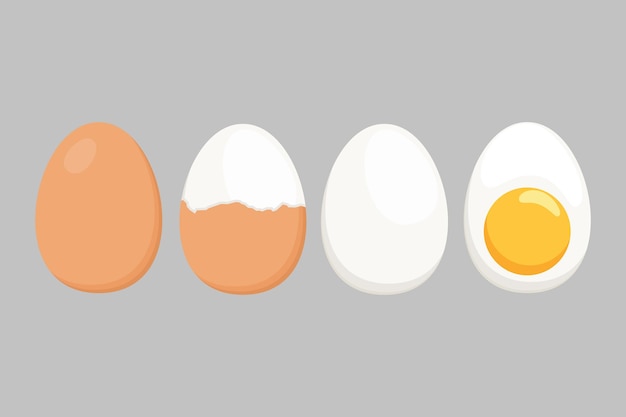 Egg vector isolated on a white background. Set of boiled eggs, half peeled, peeled, sliced. Vector illustration. Eggs in various shapes in flat illustration style