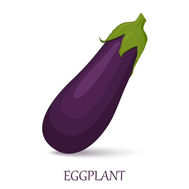 Eggplant isolated on white background, Vector ingredients for salad. Flat design