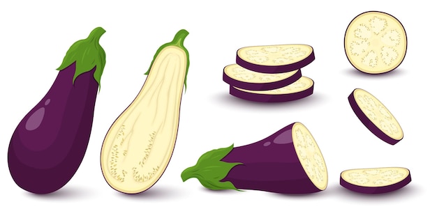 Eggplant set isolated on white background. Whole, slice, half of fresh aubergine. Vector ingredients for salad.