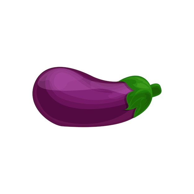 Eggplant vegetable cartoon vector Illustration on a white background