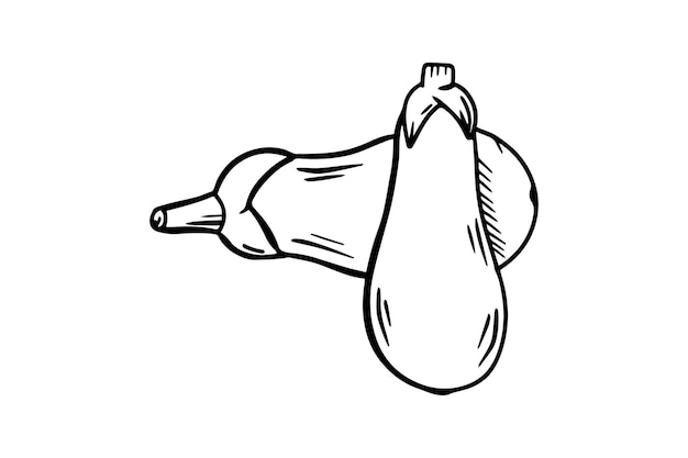 Eggplants are drawn with a black outline Vector graphics sketch