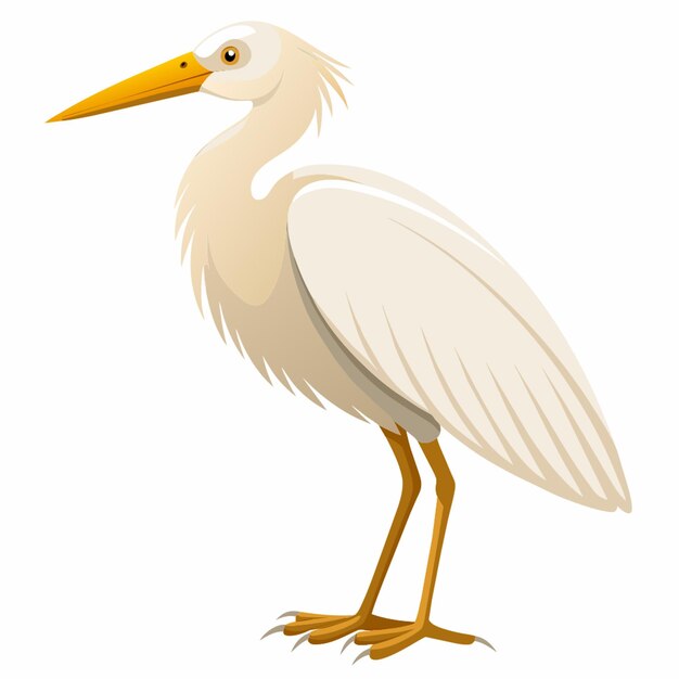 Vector egret flat illustration on white background vector illustration