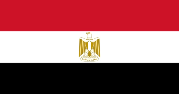 Egypt flag in vector