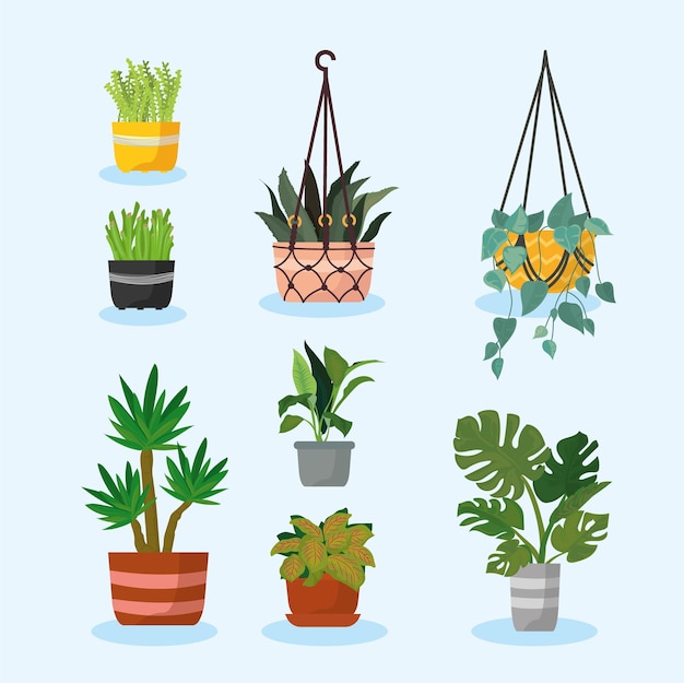 Eight hanger plants icons