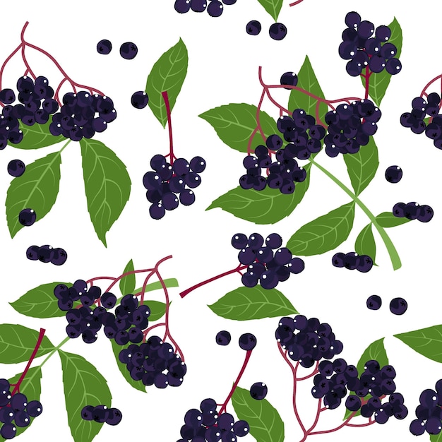 Elderberry seamless pattern vector background.