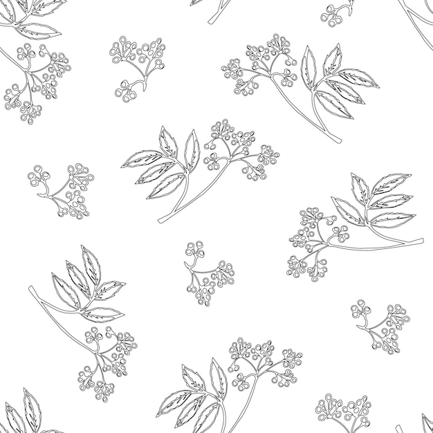 Elderberry seamless pattern