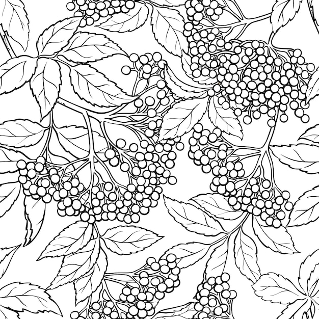 Elderberry seamless pattern