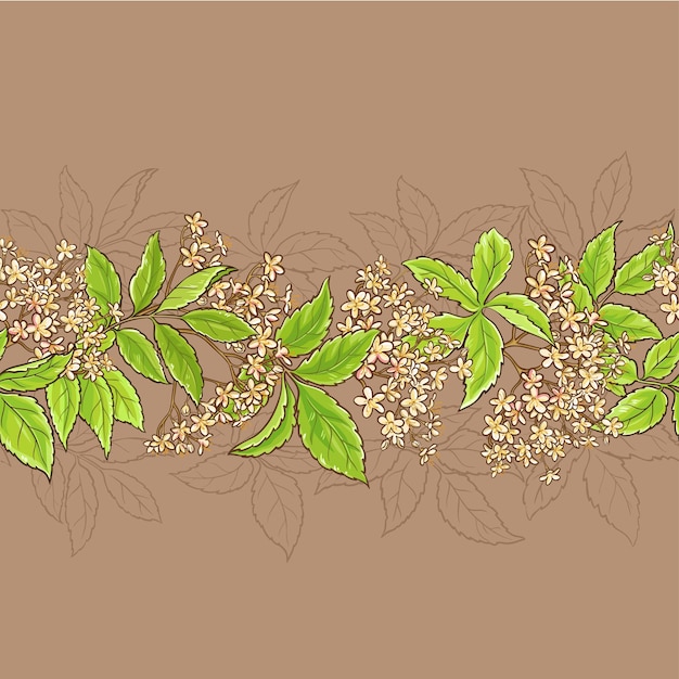 Elderflower vector pattern