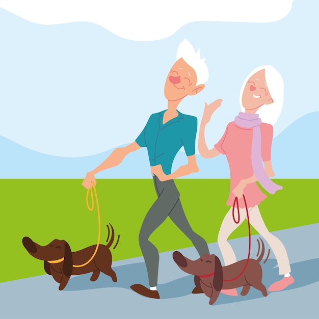 Elderly couple walk their dogs in the park, active seniors design