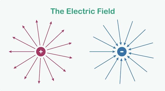 The electric field The field line of small positive charge points radially outwards