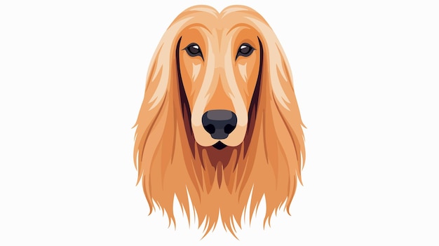 Vector elegant afghan hound dog head icon