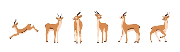 Elegant african antelope Set of gazelles with horns Mammal animal