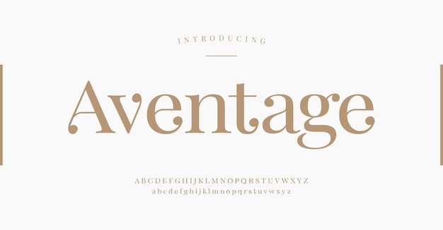 Vector elegant alphabet serif fonts luxury retro lettering typography decorative concept