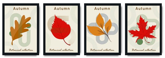 Vector elegant autumn poster collection featuring stylized leaves in minimalist design