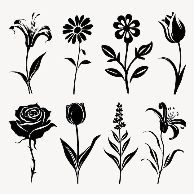 Vector elegant black floral silhouettes collection