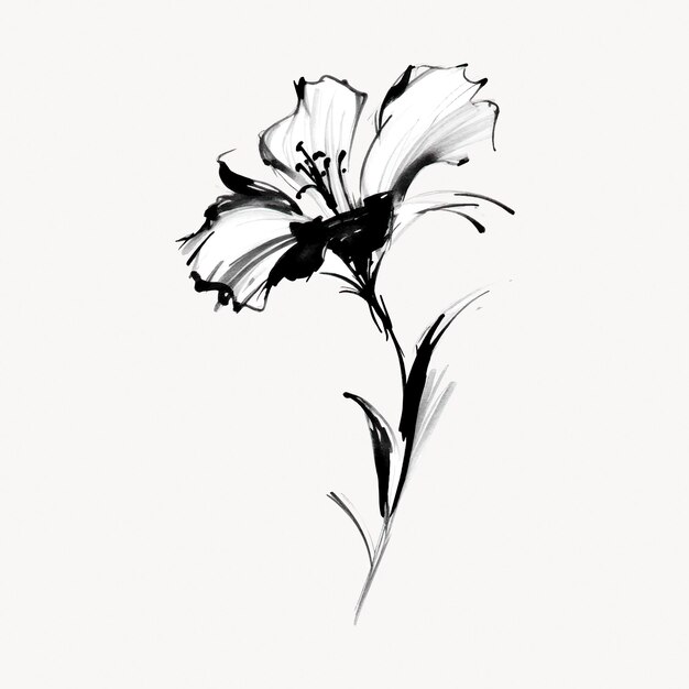 Vector elegant black and white flower