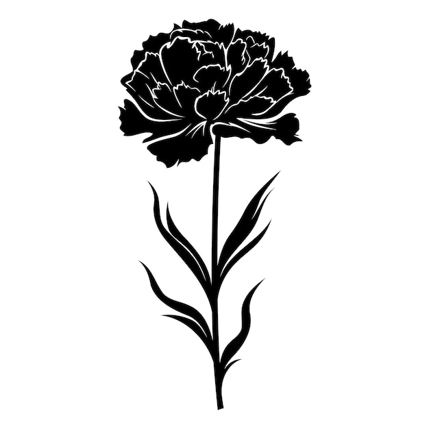 Vector elegant black and white silhouette of a carnation flower