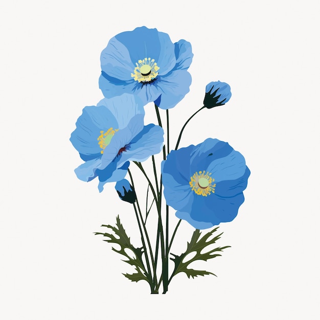 Vector elegant blue poppy illustration