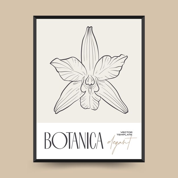 Elegant Botanical abstract wall arts. Floral vector poster collection.