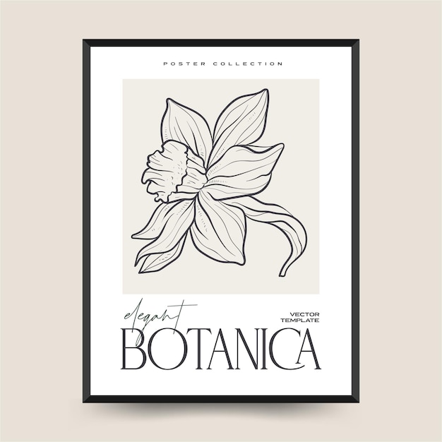 Elegant Botanical abstract wall arts. Floral vector poster collection.