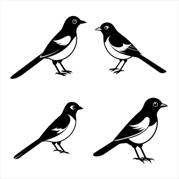 Elegant Bulbul Bird Silhouette Vector Illustration HighQuality Nature Clipart for Designers