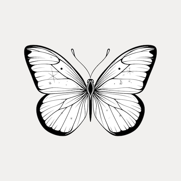 Elegant butterfly line art