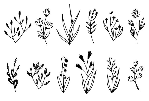 Elegant collection of plants and flowers in line art style. Vector illustration