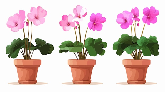 Elegant Cyclamen Flower in Pot Vector Advertising Banners