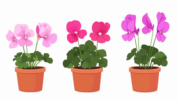 Elegant Cyclamen Flower in Pot Vector Advertising Banners