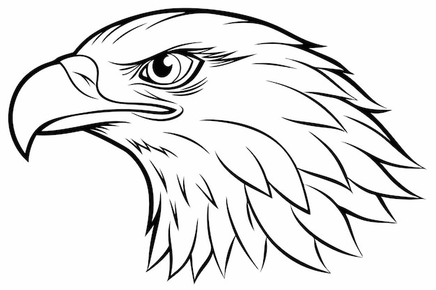 Vector elegant eagle head line art vector illustration design perfect for prints and digital use