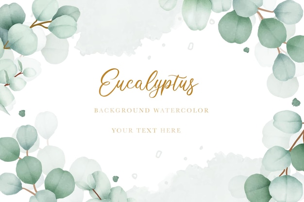 Vector elegant eucalyptus leaves background design