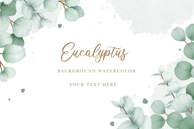 Vector elegant floral background with hand drawing eucalyptus watercolor