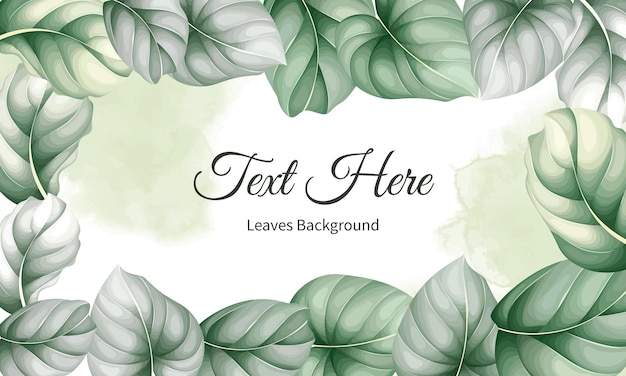 Elegant greenery leaves background design