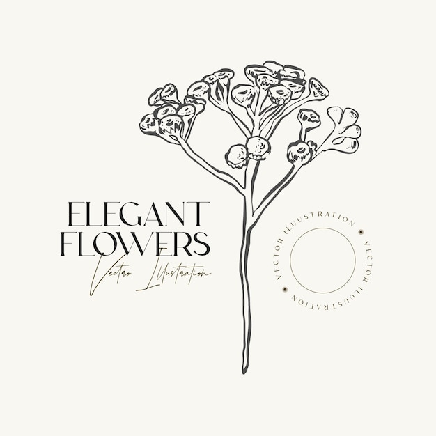 Elegant Hand draw sketch herbs or flowers.