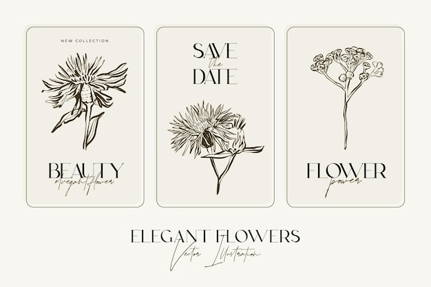 Elegant Hand draw sketch herbs or flowers.