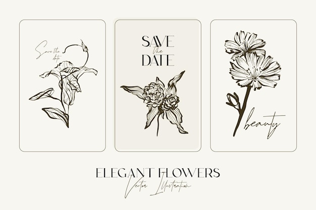 Elegant Hand draw sketch herbs or flowers.