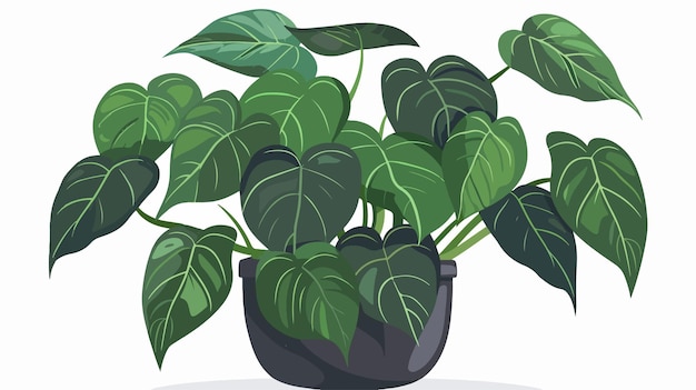 Elegant Heart Leaf Philodendron Indoor Plant Illustration