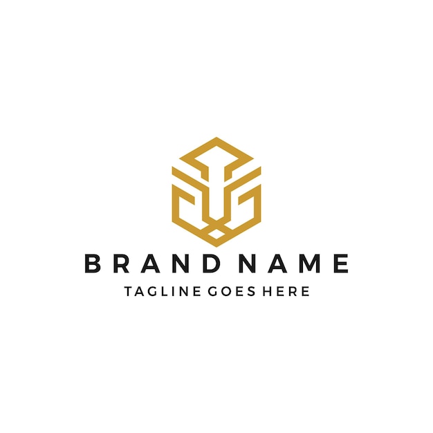 elegant king lion with stylish graphic design and luxury design logo