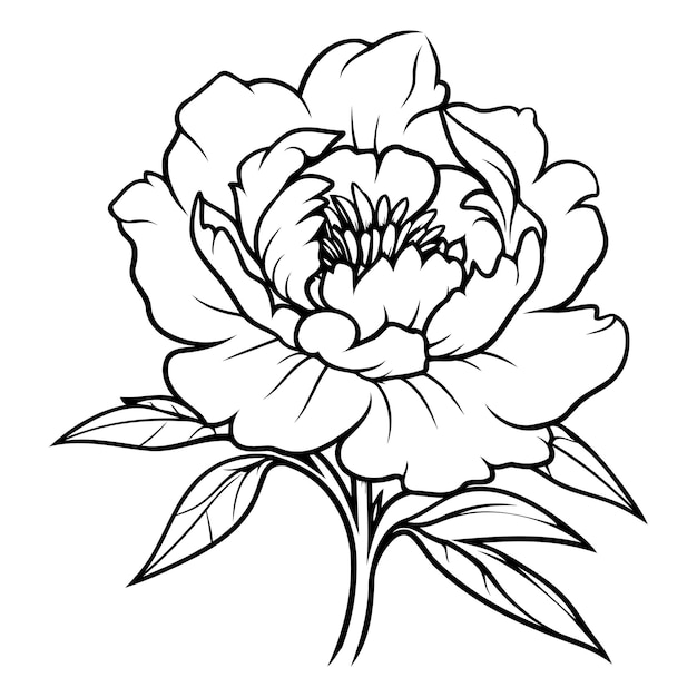 Vector elegant line art illustration of a single peony flower perfect for tattoo designs branding and floralthemed projects