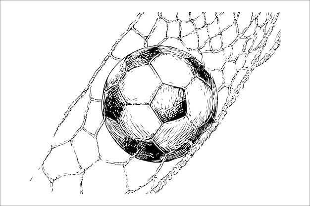 Vector elegant monochrome illustration of soccer ball and net