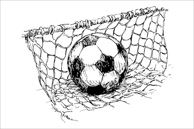 Vector elegant monochrome illustration of soccer ball and net