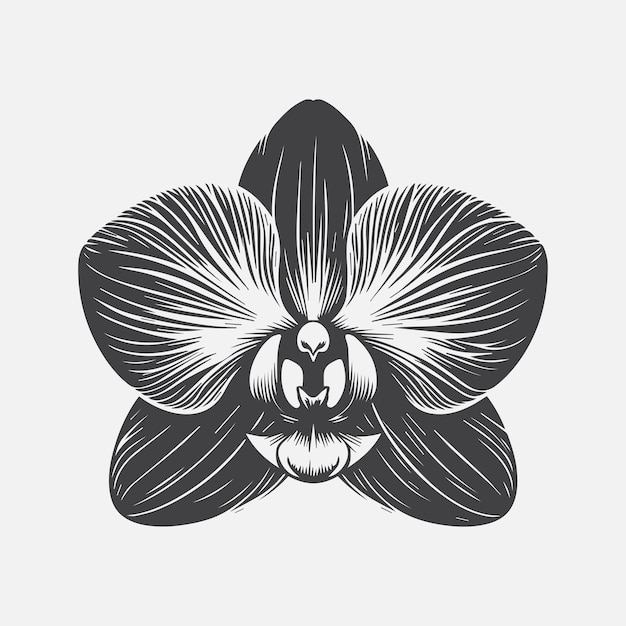 Elegant Orchid Flower Silhouette A Timeless Symbol of Grace and Beauty