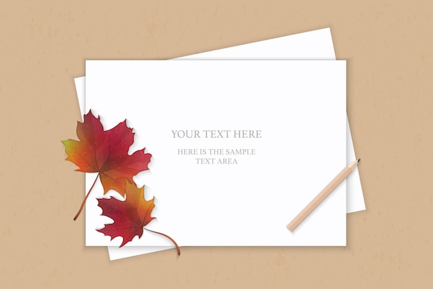 elegant paper with and maple leaf on background